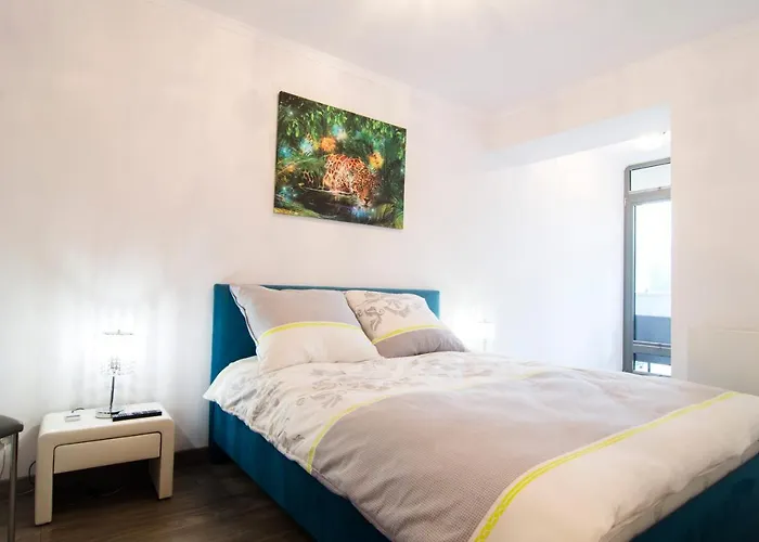 Teczowe Wzgorze Oaza ויסלאו